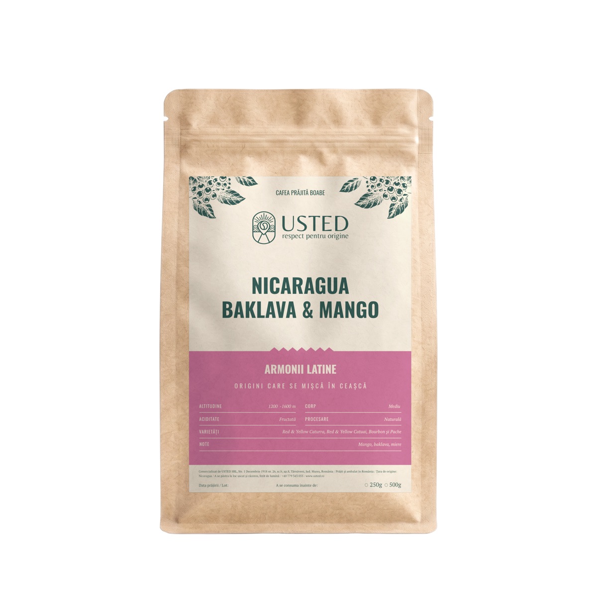 Nicaragua Baklava & Mango
